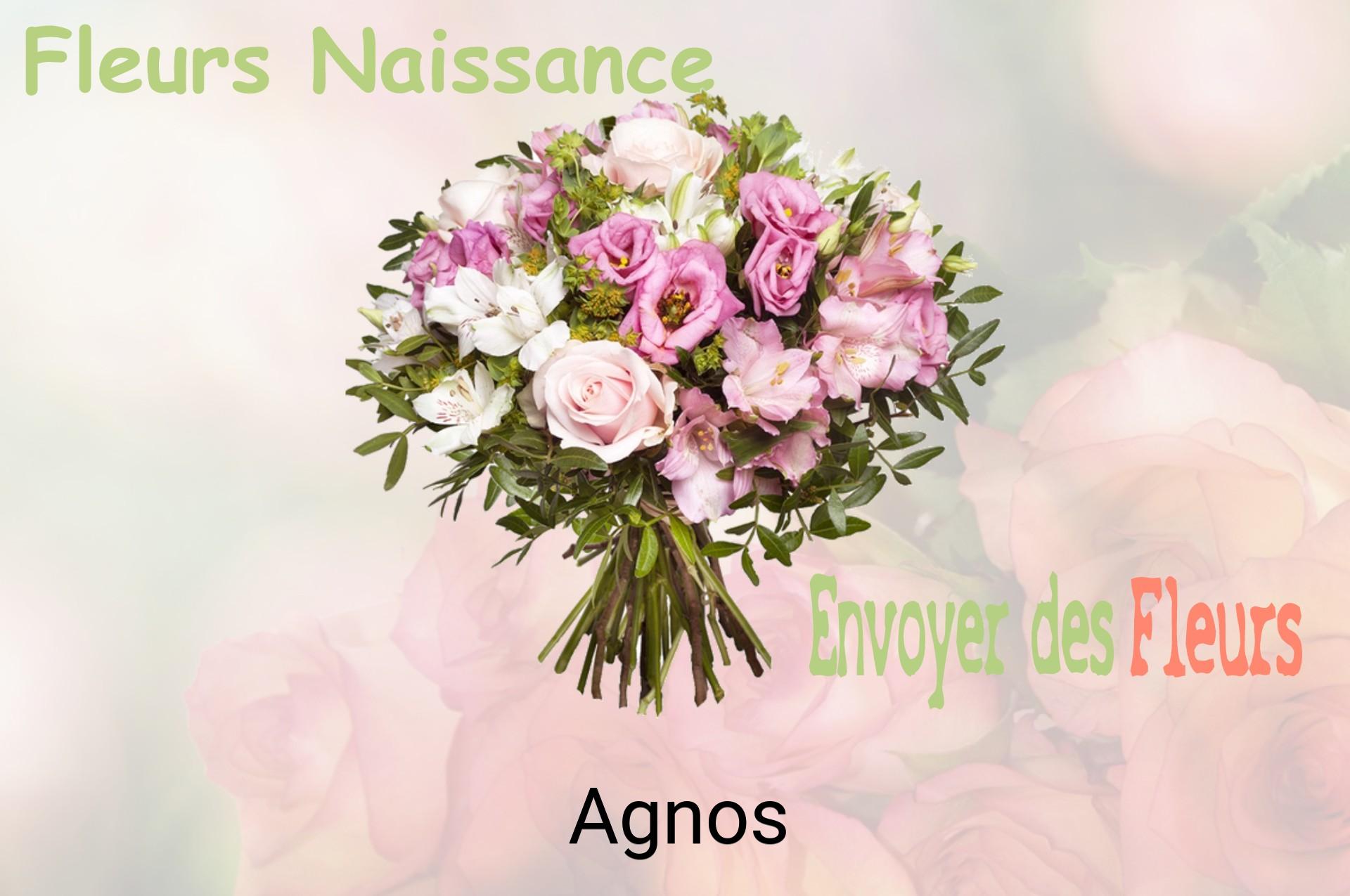 Bouquet de fleurs de naissance livré à Agnos