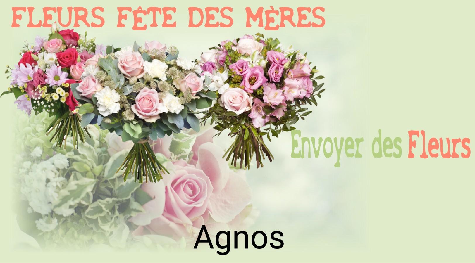 Bouquet de Fête des Mères livré à Agnos